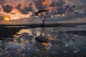 世界体能恢复科研基金第34轮资助指南与时间表公布，世界体能大赛