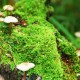 世界保龄球城市夜赛联动：主题活动带动线下消费，保龄球世界锦标赛