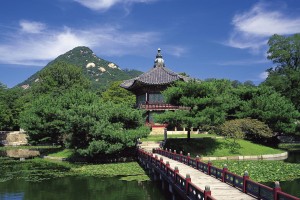 世界举重线上讲堂：名师课程覆盖基础到高阶训练法，举重训练视频大全