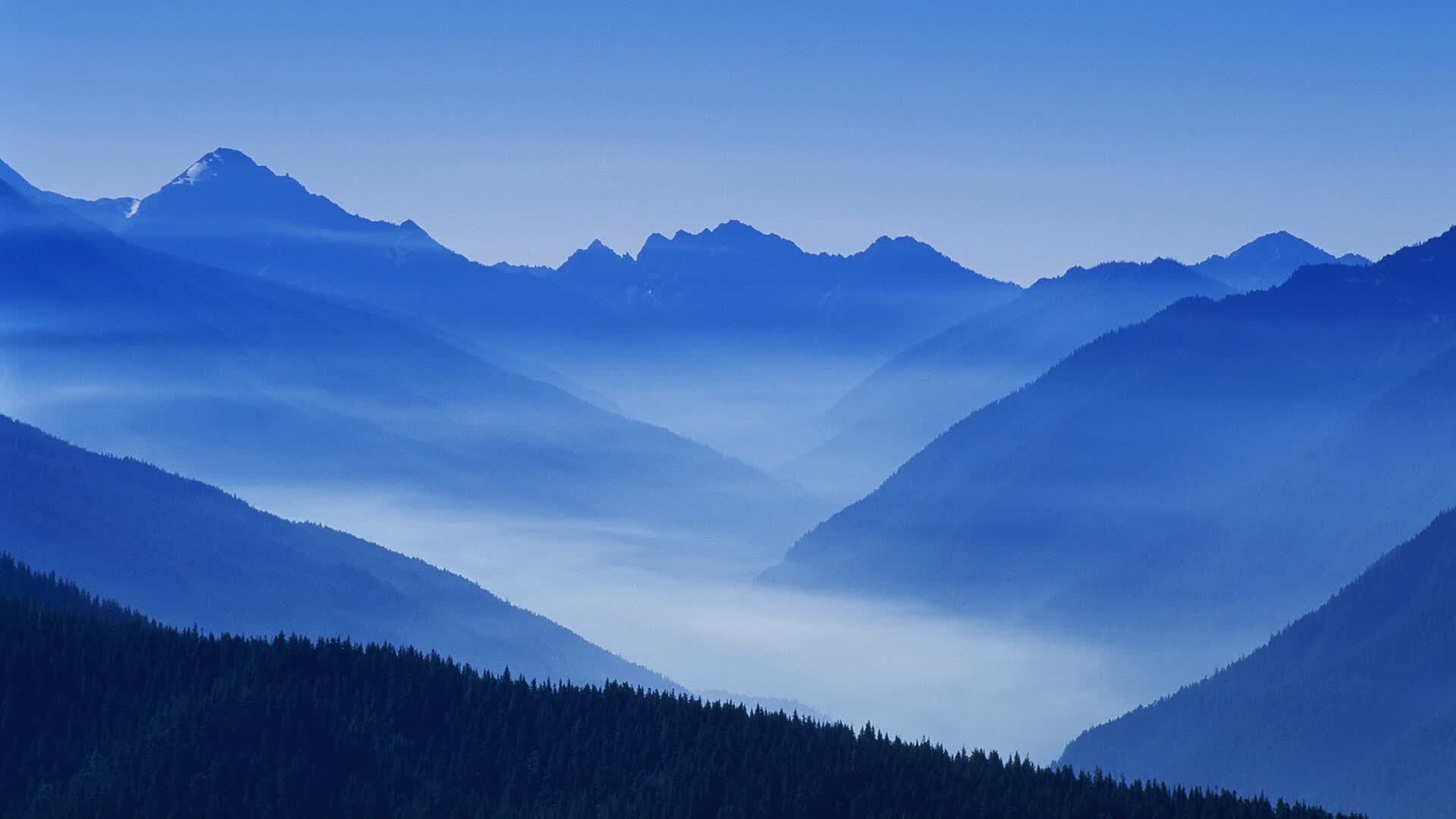 世界体能恢复康复设备租赁服务在十城铺开,世界体能大赛
